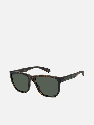 Polaroid Sunglasses in Brown