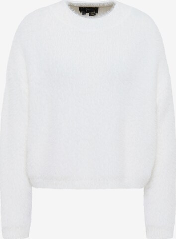 faina Sweater in White: front