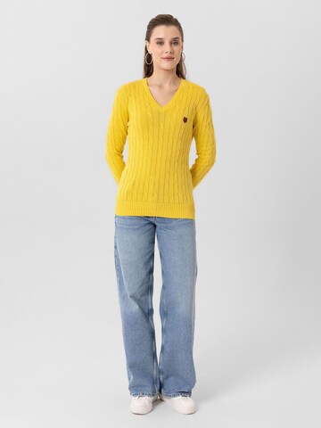 Jacey Quinn Sweater 'Joaquin' in Yellow