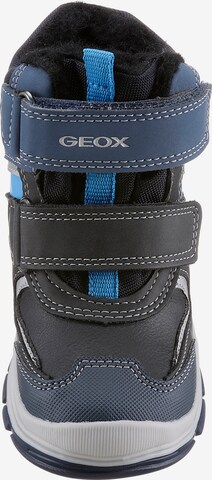 GEOX Winterstiefel in Blau