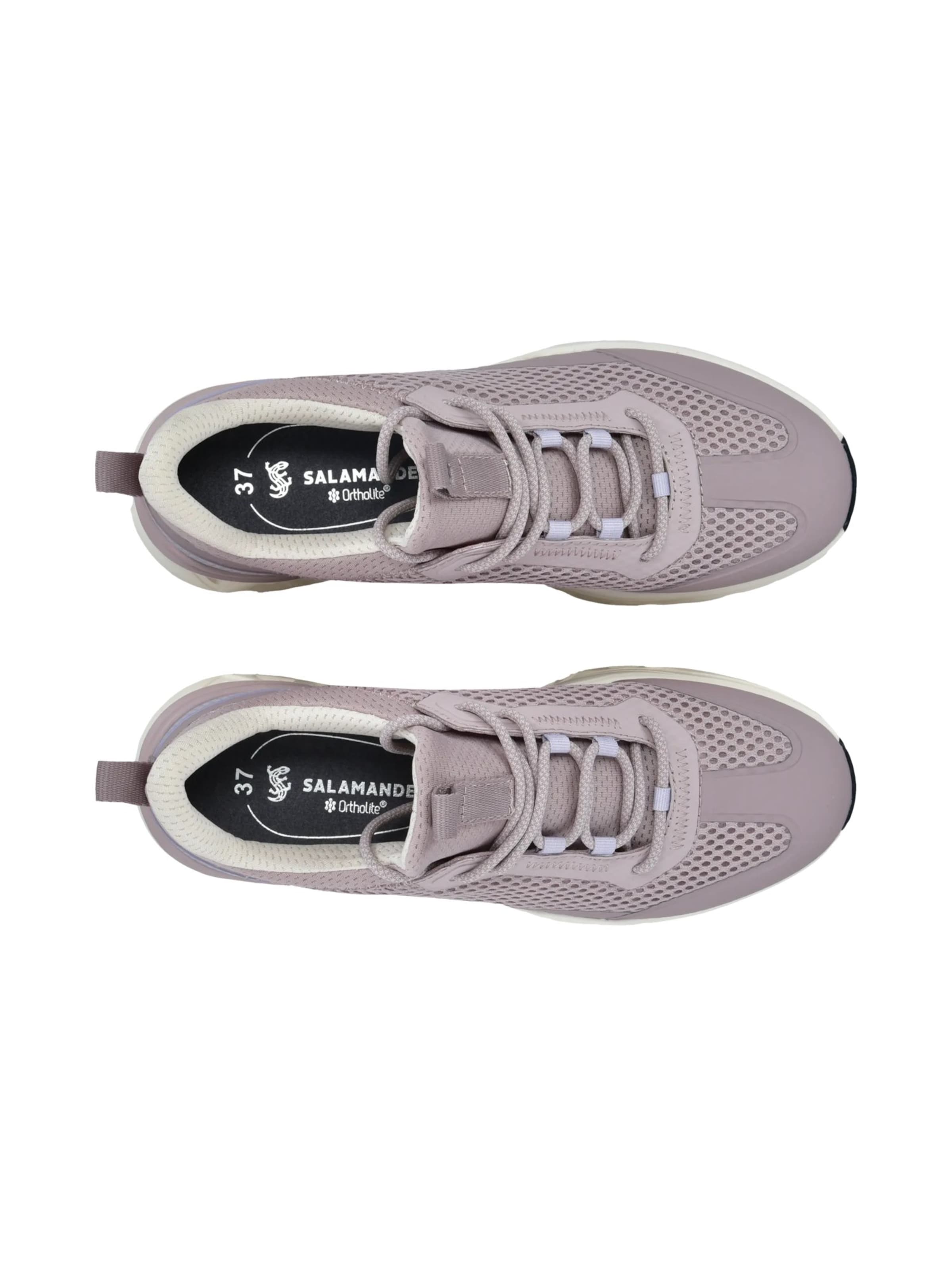 Baskets basses SALAMANDER en gris