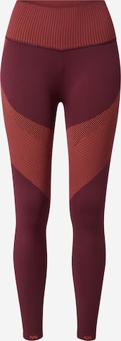 PUMA Workout Pants in Red: front