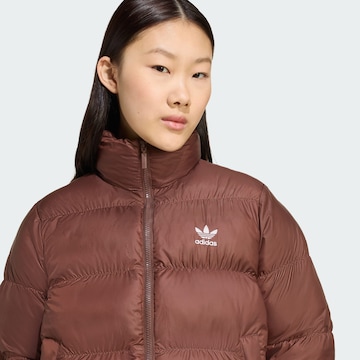 ADIDAS ORIGINALSZimska jakna 'Adicolor' - smeđa boja