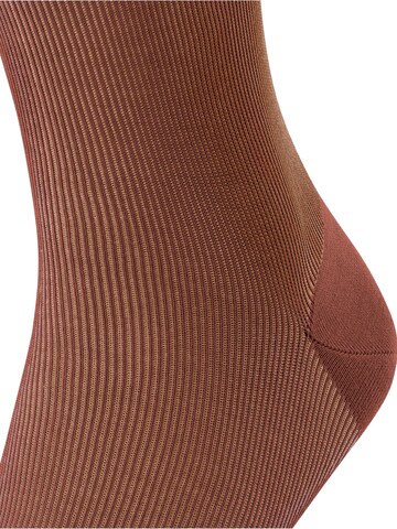 FALKE Socken 'Fine Shadow'‌‌‌‌‌‌‌‌‌‌ in Pink