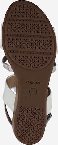 GEOX Sandalen met riem in Wit