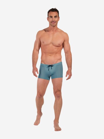 Shorts de bain ' Swim Shorts Espresso ' HOM en bleu