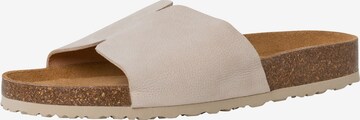 TAMARIS Pantolette in Beige: predná strana