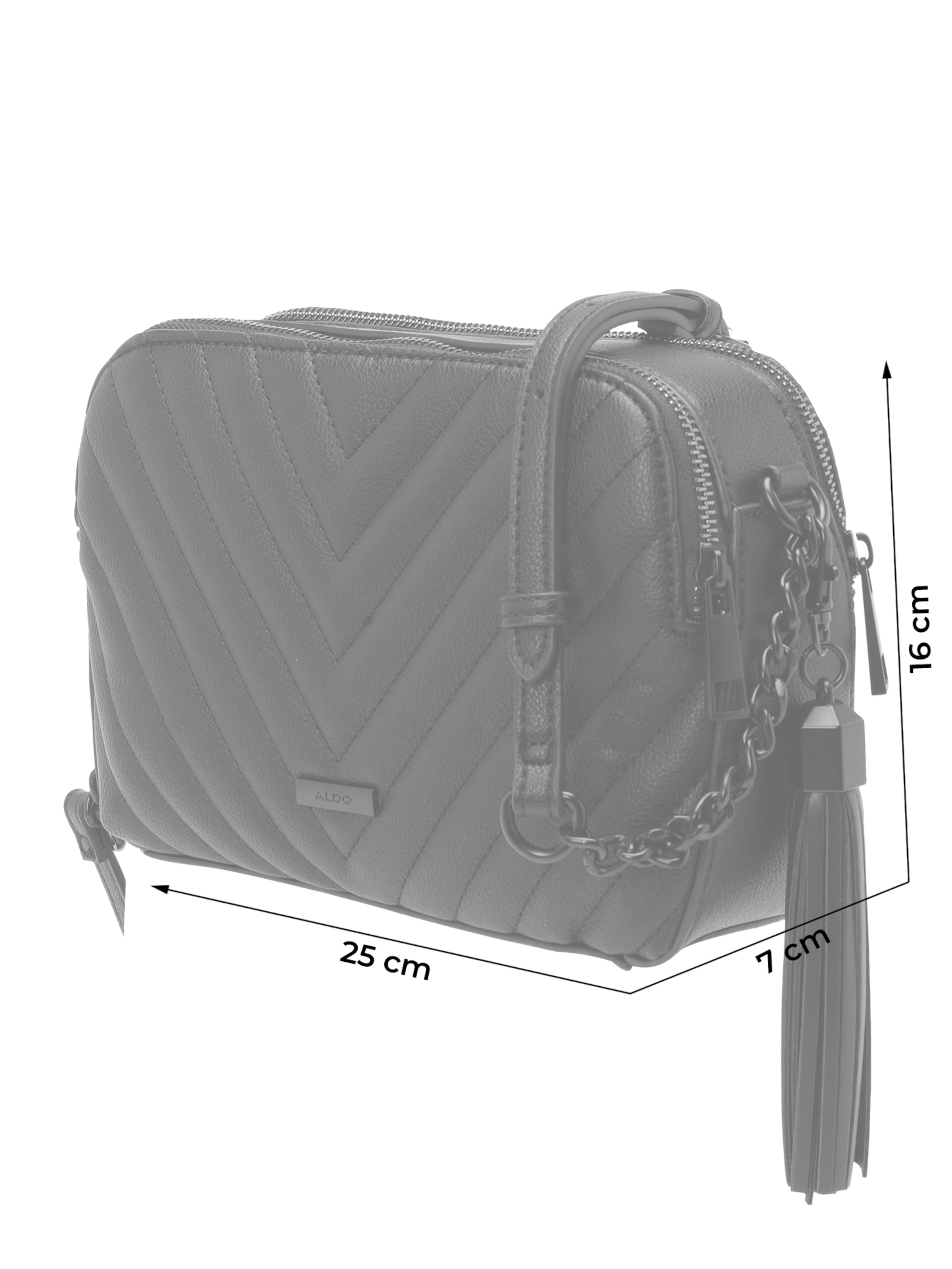 ALDO Taška cez rameno 'TALAEDAR' - Čierna