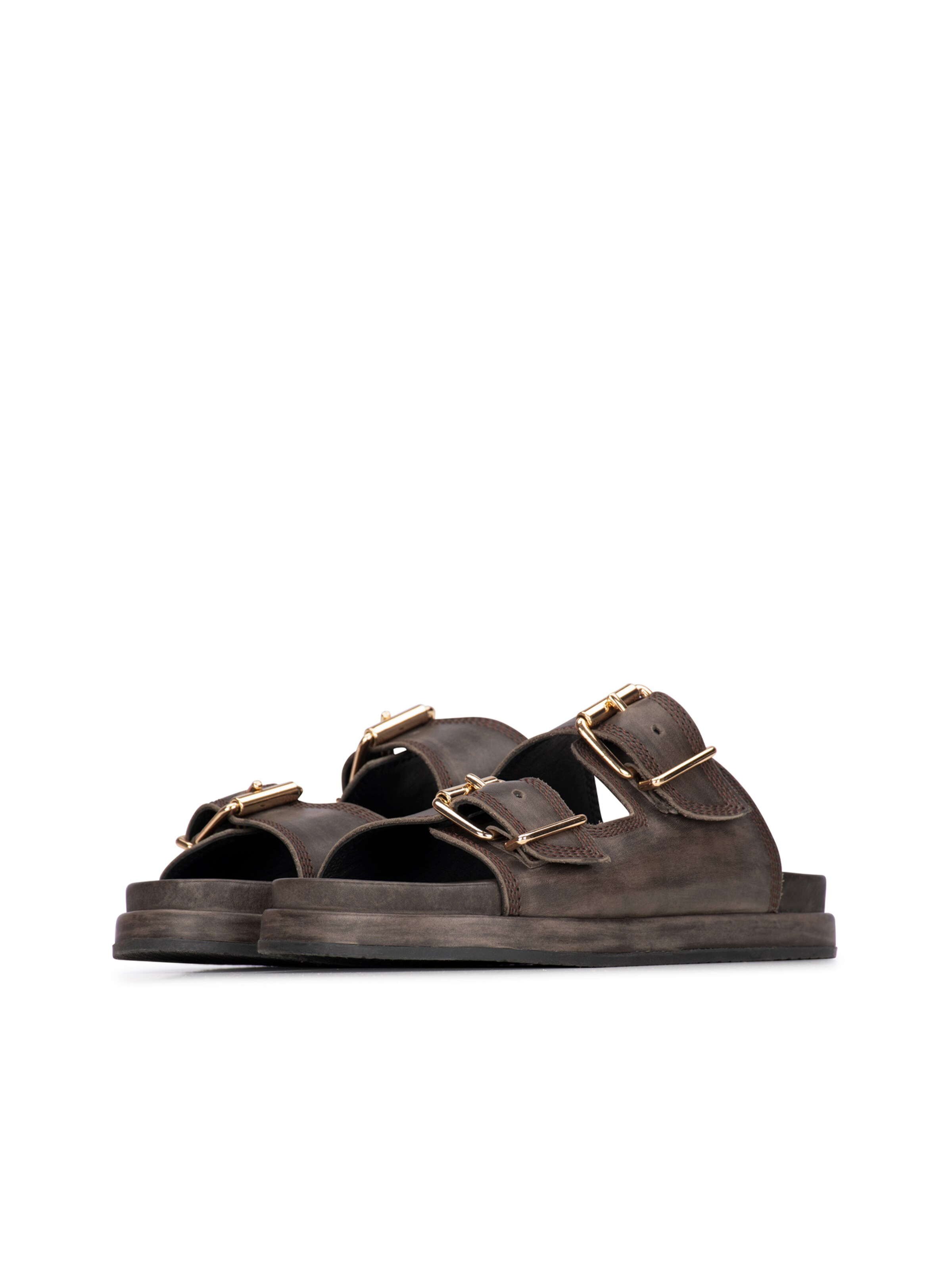 Haboob Mules 'Mag' in Brown