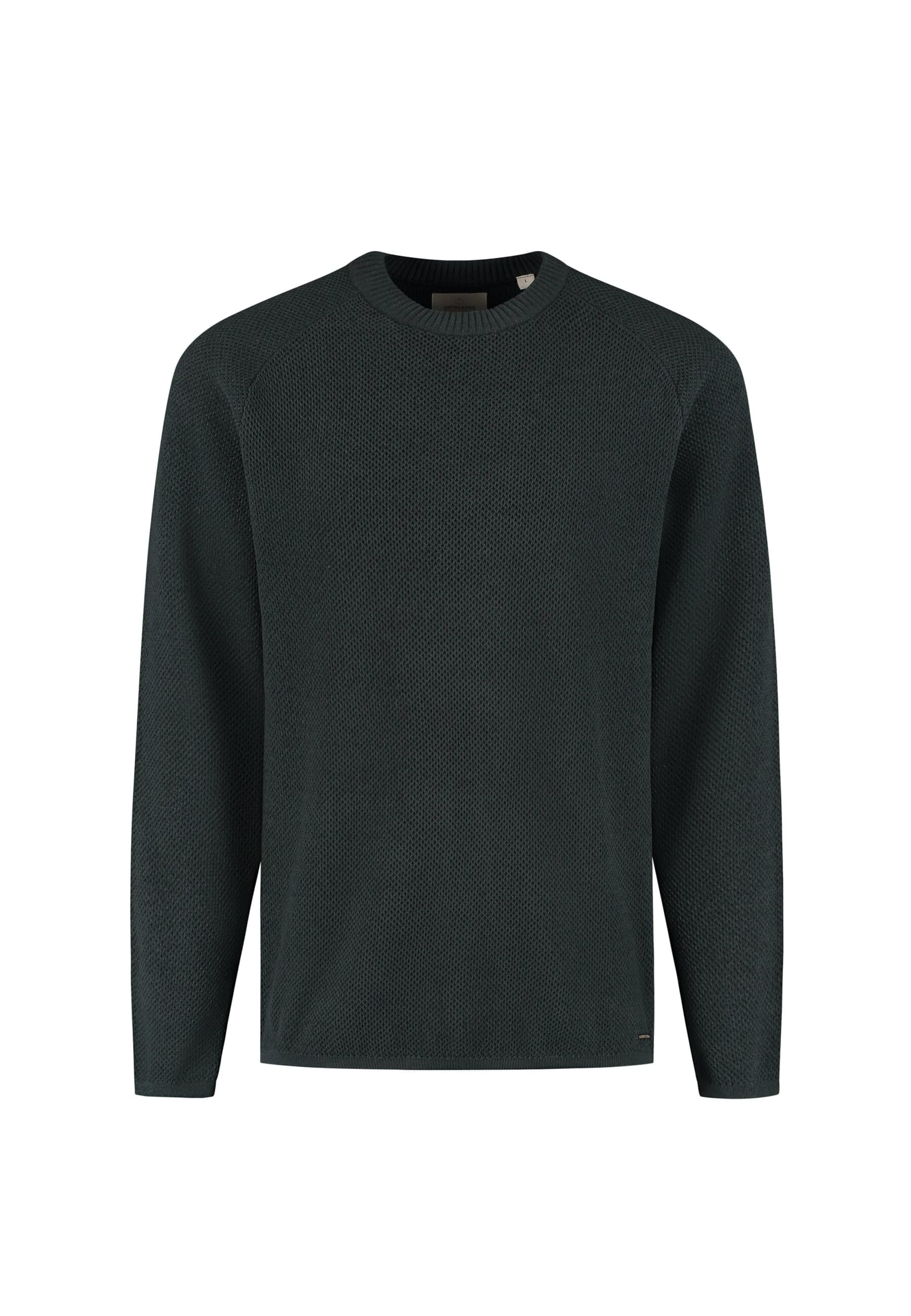 Dstrezzed Pullover 'Neill' in Grün: Vorderseite