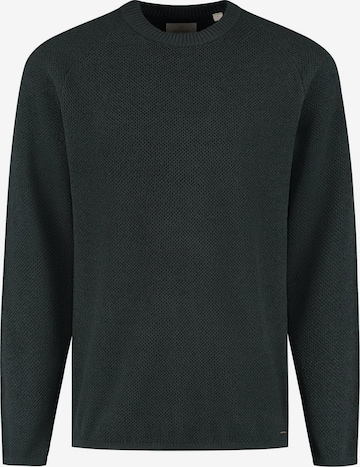 Dstrezzed Pullover 'Neill' in Grün: Vorderseite