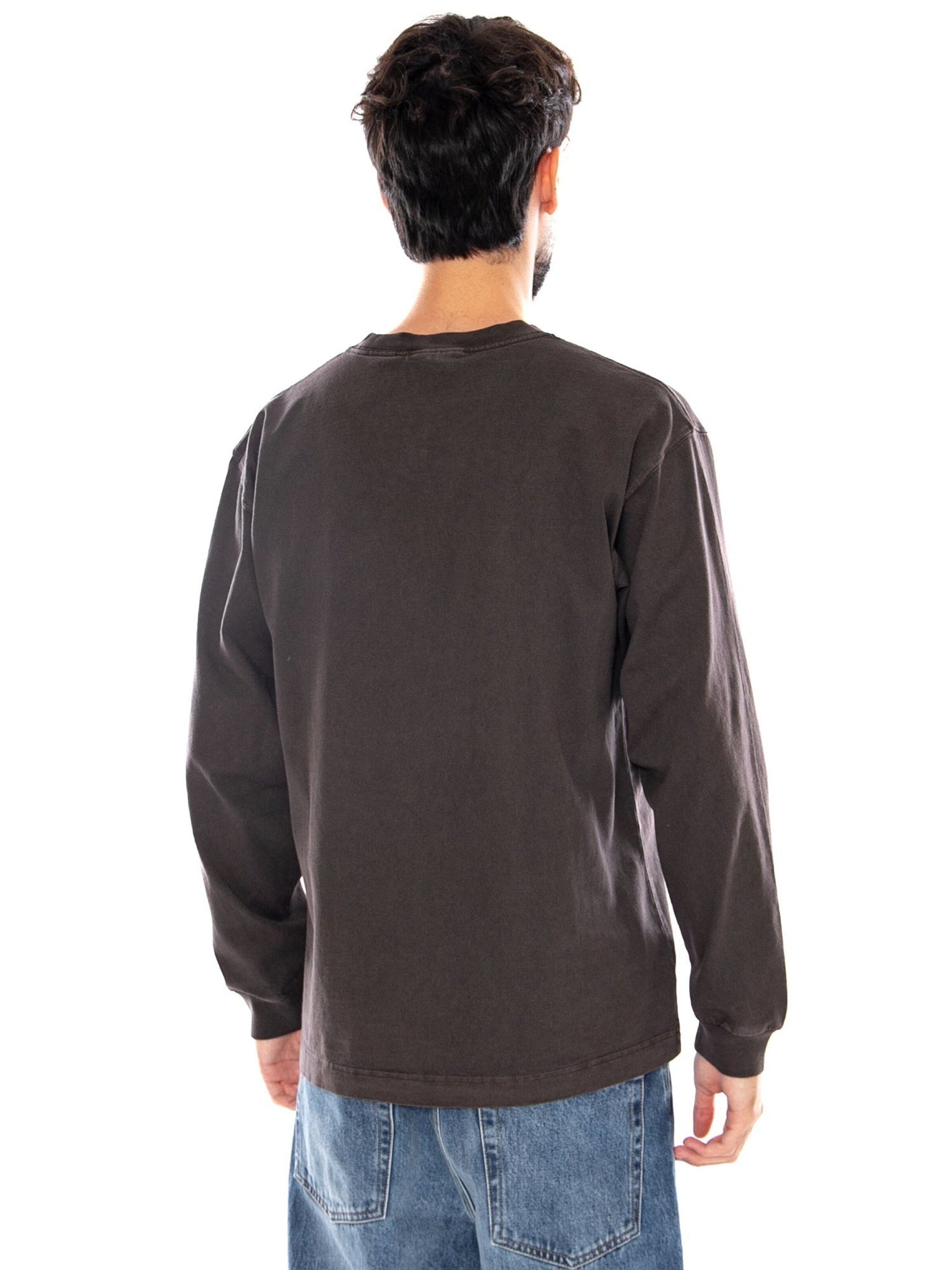 Carhartt WIP Shirt 'L/S VISTA T-SHIRT TOBACCO GARMENT DYED' in Brown