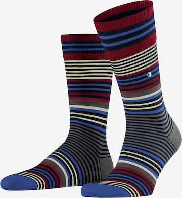 BURLINGTON Socks 'Stripe' in Blue: front