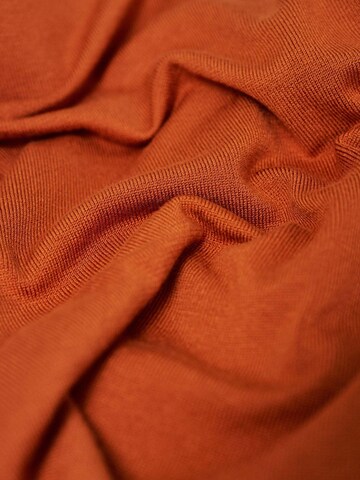 Salsa Jeans Pullover 'Basic Long Sleeve'‌‌‌ in Orange