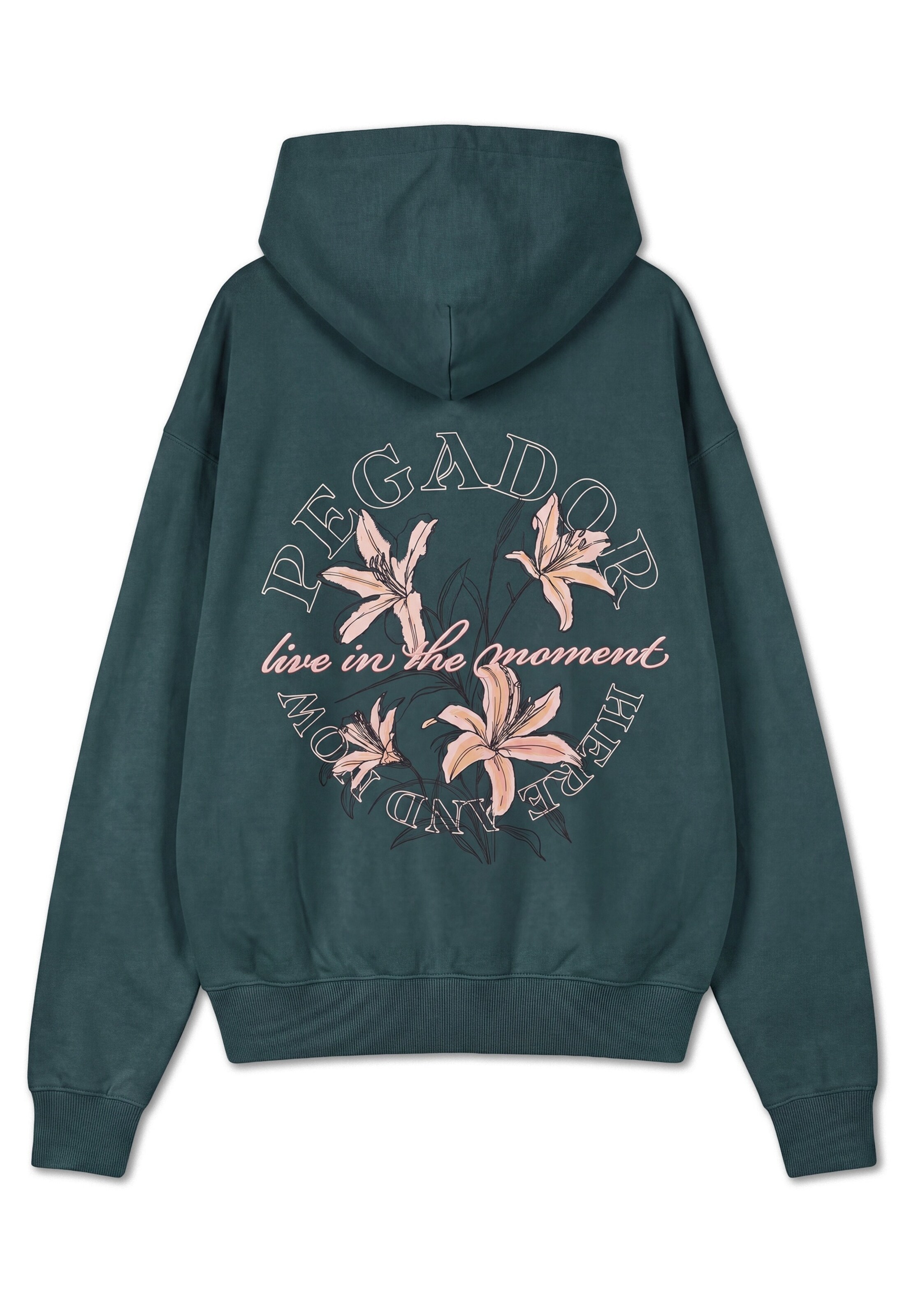 Sweat-shirt 'Trapani' Pegador en vert