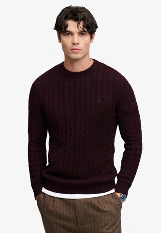 Pullover di Superdry & Co in rosso: frontale