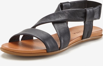 Sandalo di LASCANA in nero: frontale