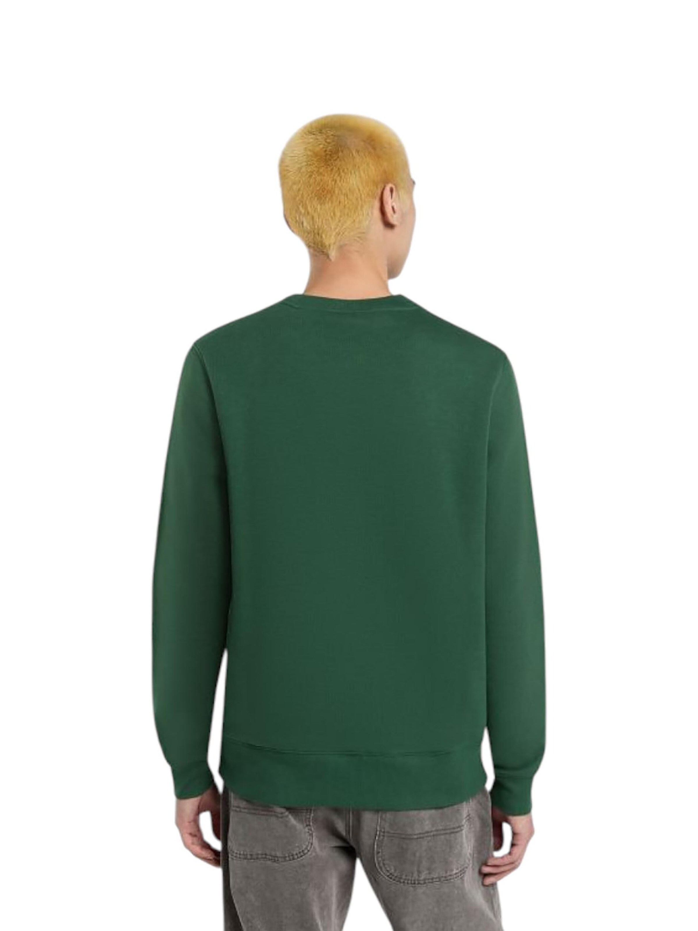 Felpa 'Oakport' di DICKIES in verde