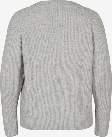 Zizzi Sweater in Grey