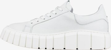 CINQUE Sneakers in White: front