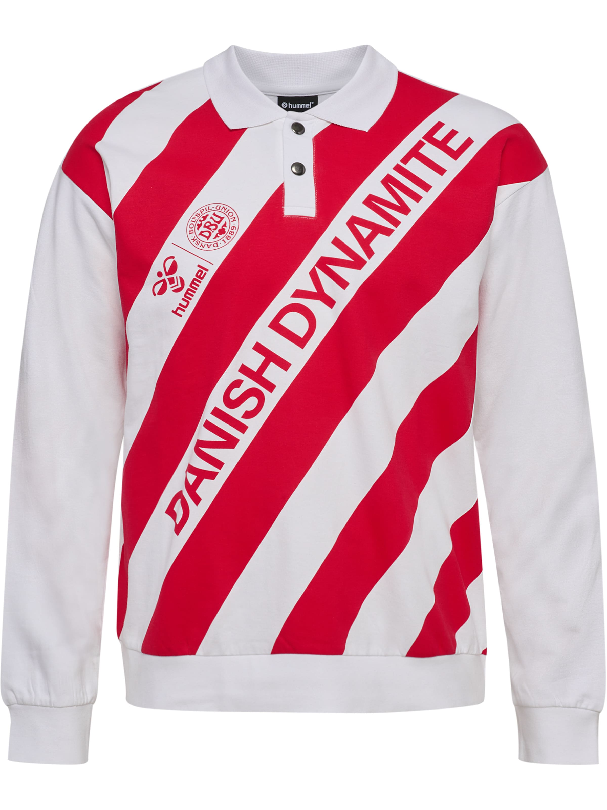 Hummel Shirt 'DBU 26 Fan Dynamite' in Wit: voorkant