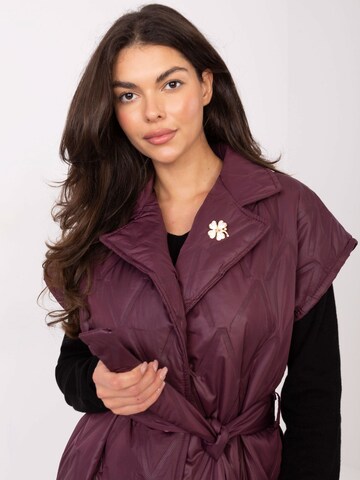 Madnezz House Vest i rød