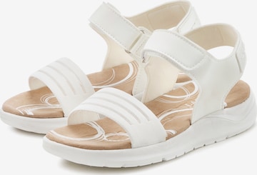 LASCANA Hiking Sandals in White