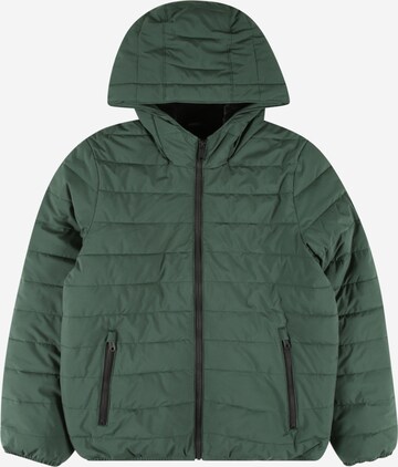 Abercrombie & Fitch Демисезонная куртка в Зеленый: спереди