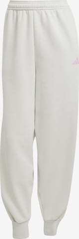 ADIDAS SPORTSWEAR Παντελόνι φόρμας 'Tiro' σε γκρι: μπροστά