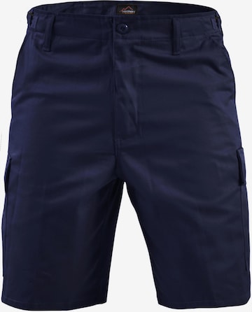 Regular Pantalon fonctionnel 'Dasht' normani en bleu : devant