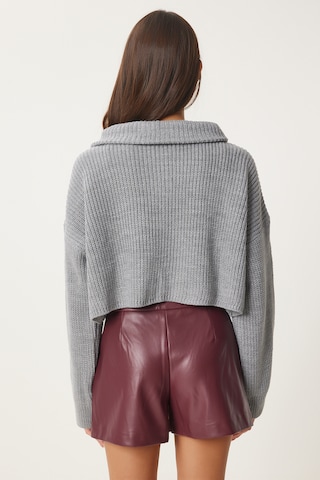 Happiness İstanbul Pullover in Grau