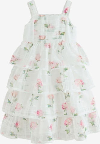 balta Baker by Ted Baker Suknelė: priekis