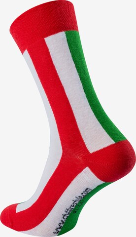 Chili Lifestyle Socks 'Banderole Leisure Socks' in Mixed colors