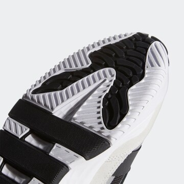 Baskets basses 'Niteball' ADIDAS ORIGINALS en noir