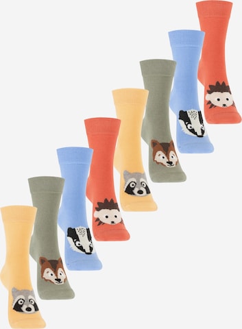 footstar Socken 'Funny Socks' in Beige: Vorderseite