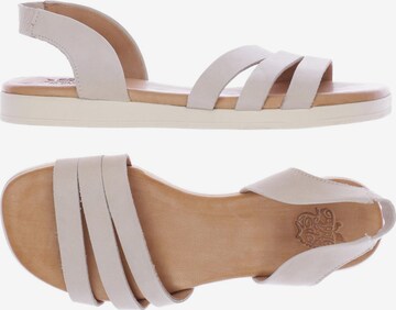 Apple of Eden Sandals & High-Heeled Sandals in 37 in Beige: front