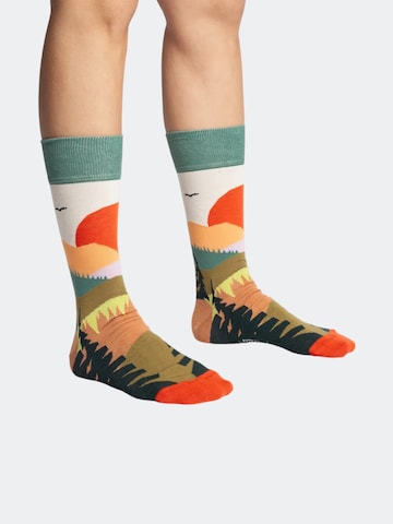 DillySocks Socks 'Abstract Nature' in Mixed colors