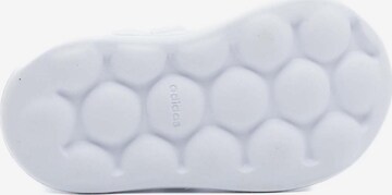 Baskets 'Advantage CF' ADIDAS ORIGINALS en blanc