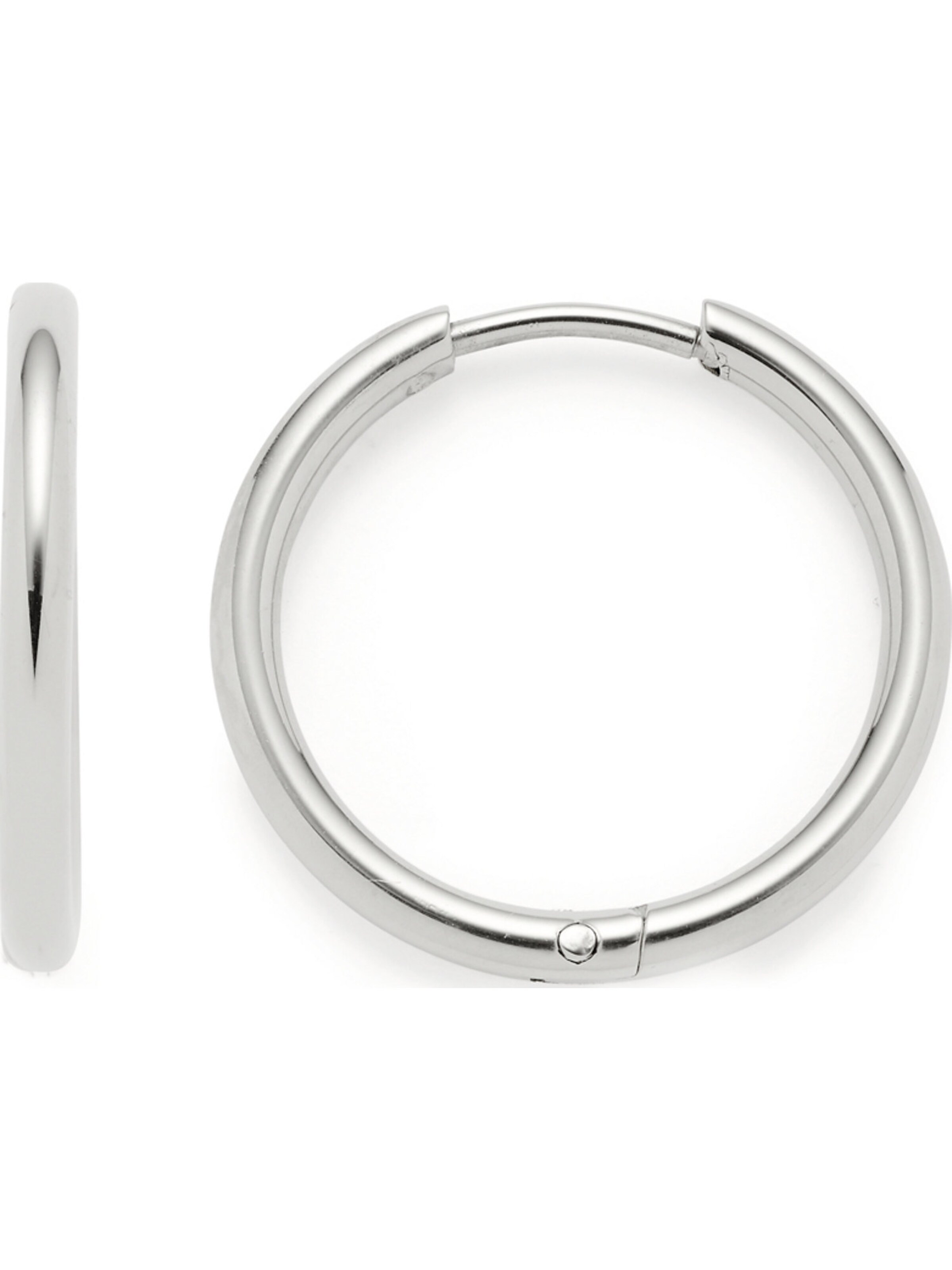 LEONARDO Earrings in Silver: front