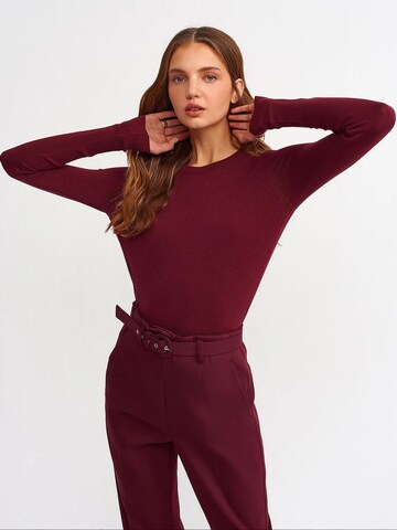 Dilvin Kampsun 'Pullover', värv punane