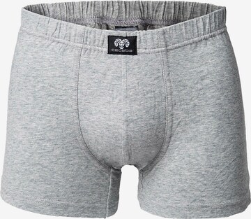 CECEBA Boxershorts in Grau