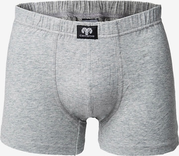 CECEBA Boxer shorts in Grey