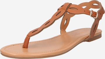 Dorothy Perkins Flip-Flops 'Bertie' i brun: forside