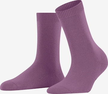 FALKE Socken 'Cosy Wool' in Pink: Vorderseite