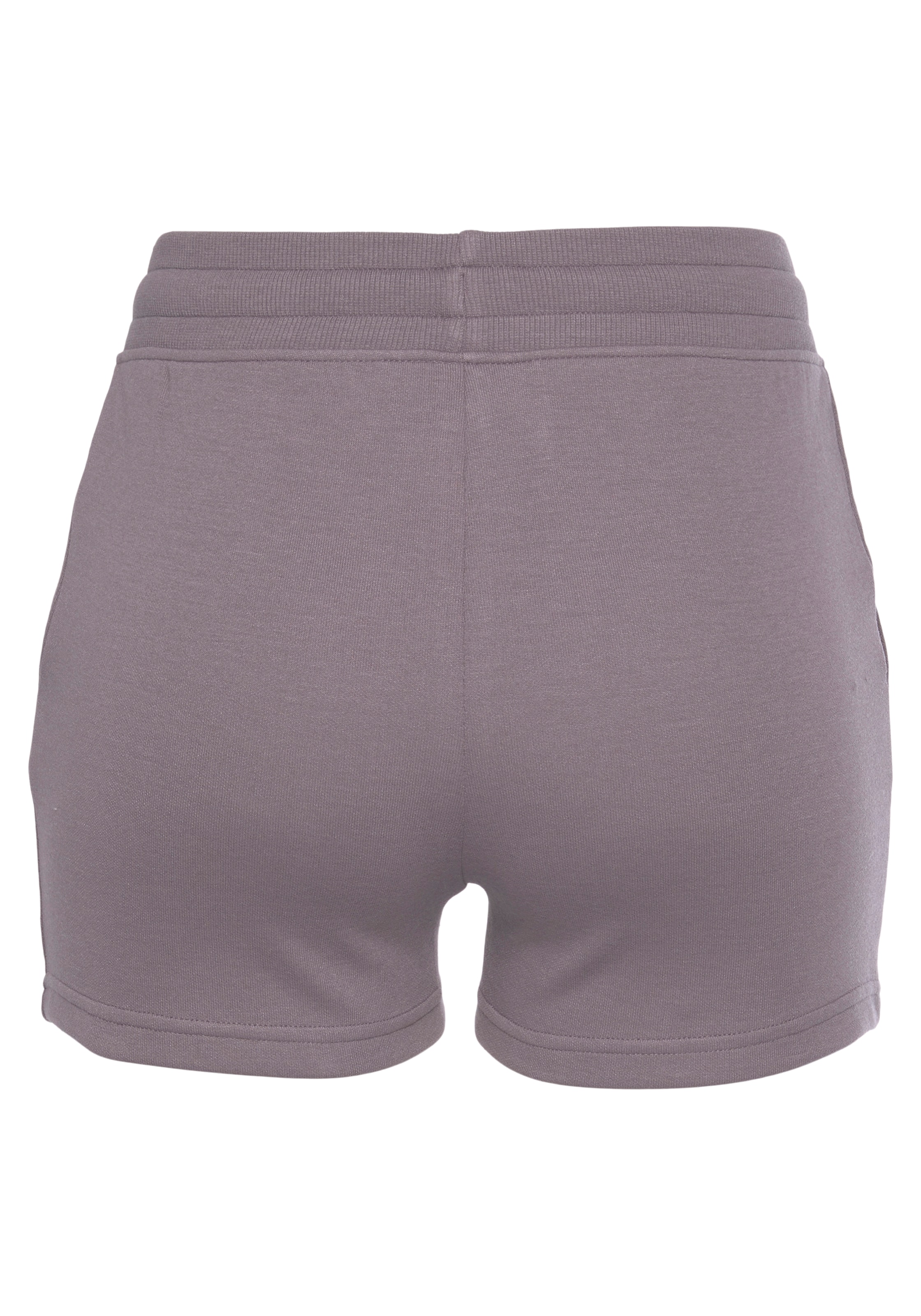 Regular Pantalon BENCH en violet