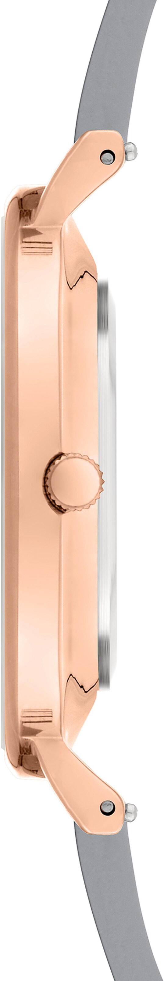 Liebeskind Berlin Analog watch in Grey