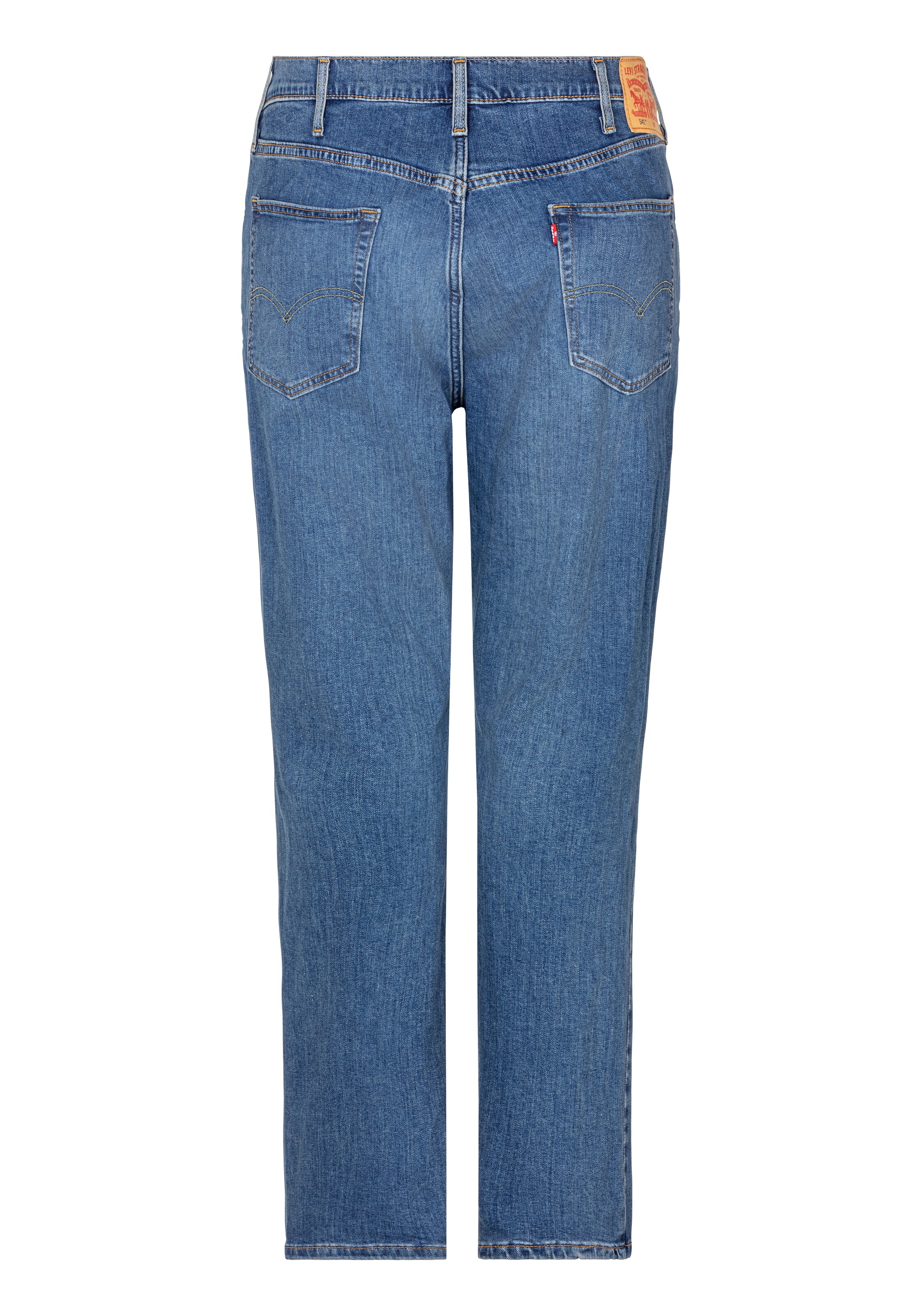 Levi's® Big & Tall Regular Jeans in Blue