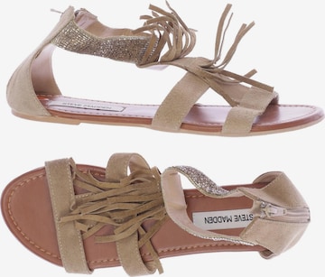 STEVE MADDEN Sandals & High-Heeled Sandals in 41 in Brown: front