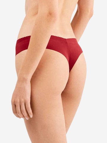 Gisela Trosa ' ' i beige