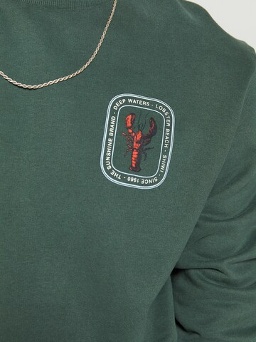 Shiwi Sweatshirt 'Lobster' in Groen